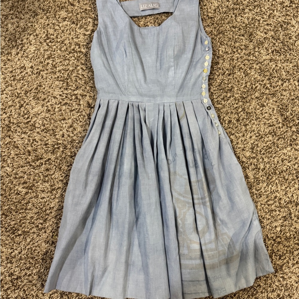 Liz Alig Blue Mini Dress